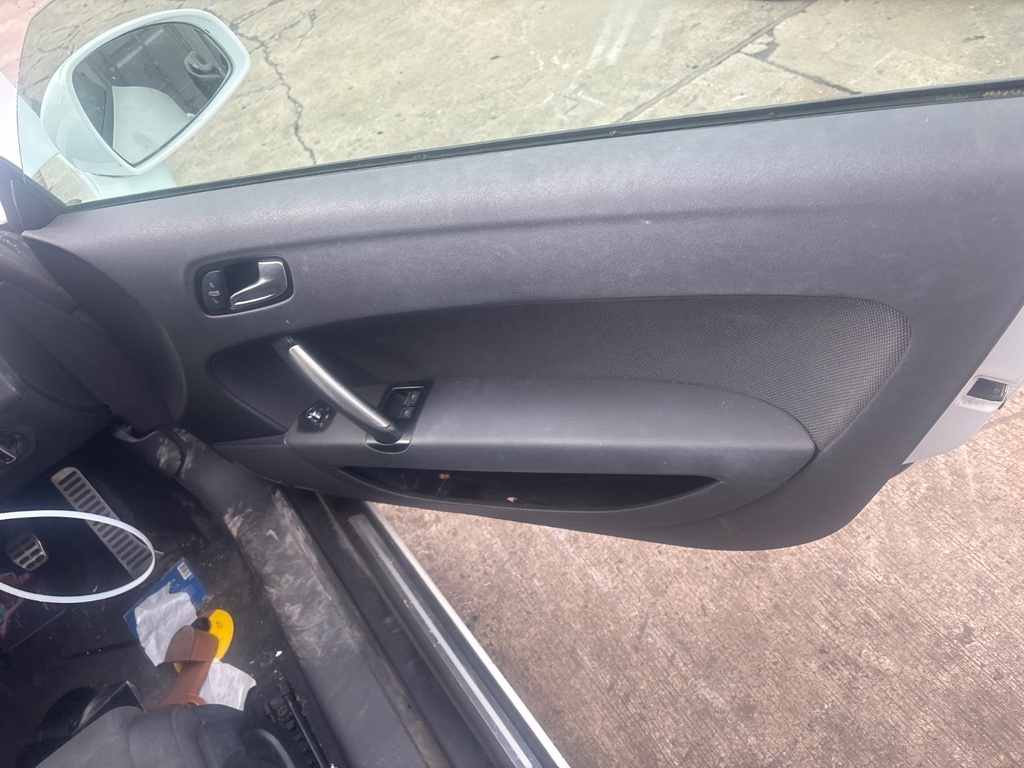 [EPE-126964] Panel de puerta Audi TT