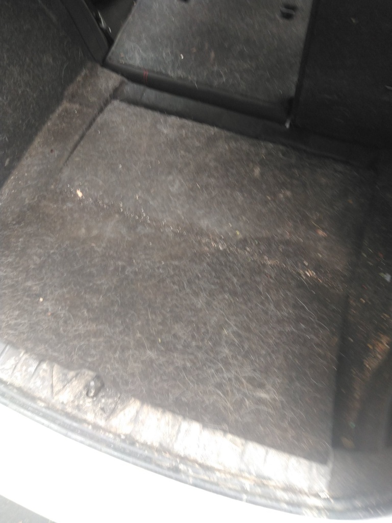 [EPE-126664] Alfombra maletero BMW 1 Series