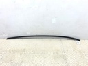 Moldura de techo Hyundai Elantra VII