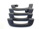 Asidero de techo BMW X5 (G05, F95)
