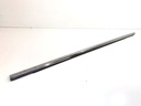 Moldura de puerta trasera izquierda BAIC X75