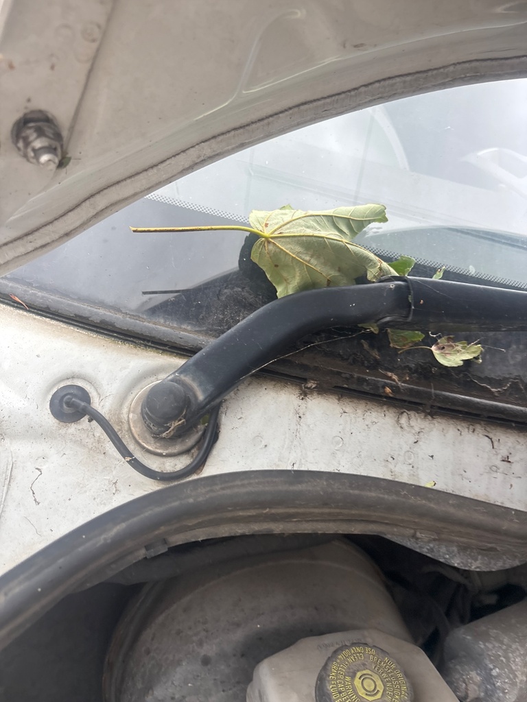 [EPE-126582] Motor y mecanismo de limpiaparabrisas delantero Mercedes-Benz Sprinter