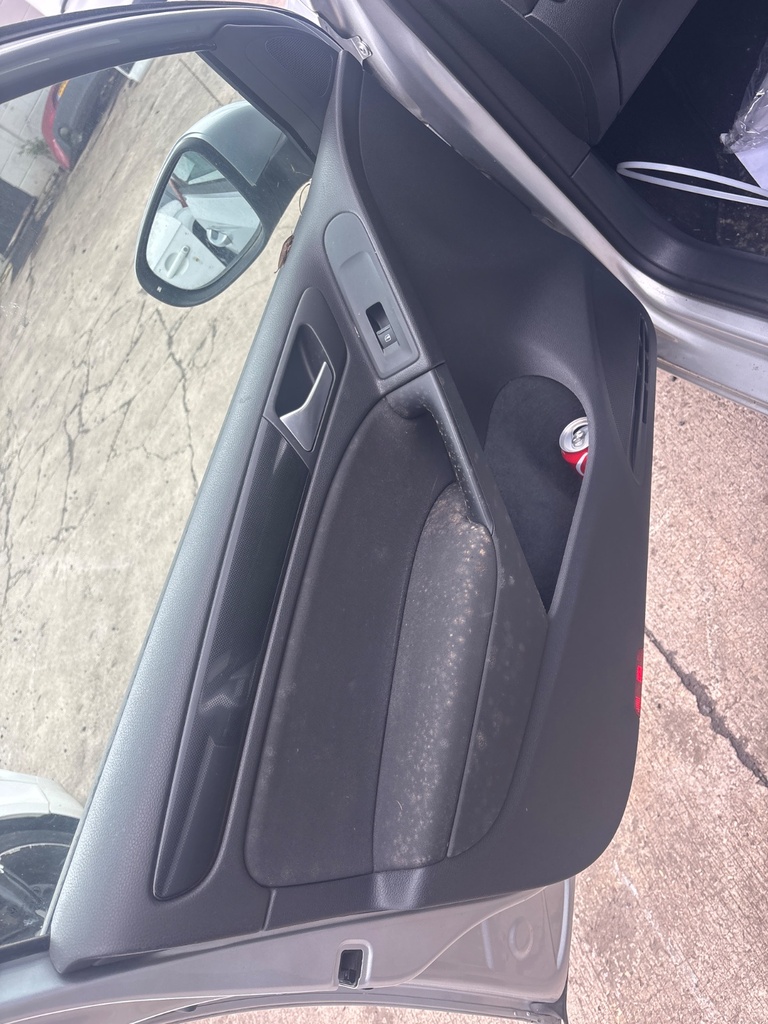 [EPE-126916] Panel de puerta VW Golf (2009-2012)
