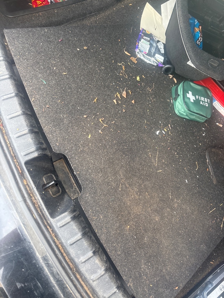 [EPE-127293] Alfombra de maletero BMW Serie 3 E91