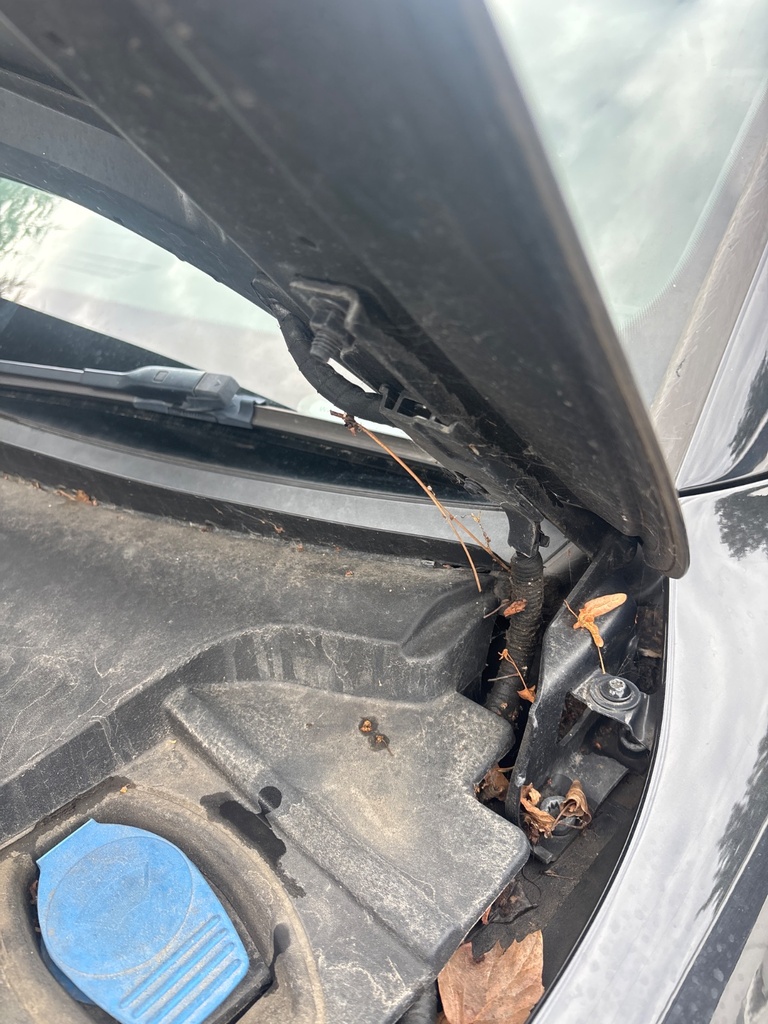 [EPE-127572] Bisagra de capó izquierda Audi A5