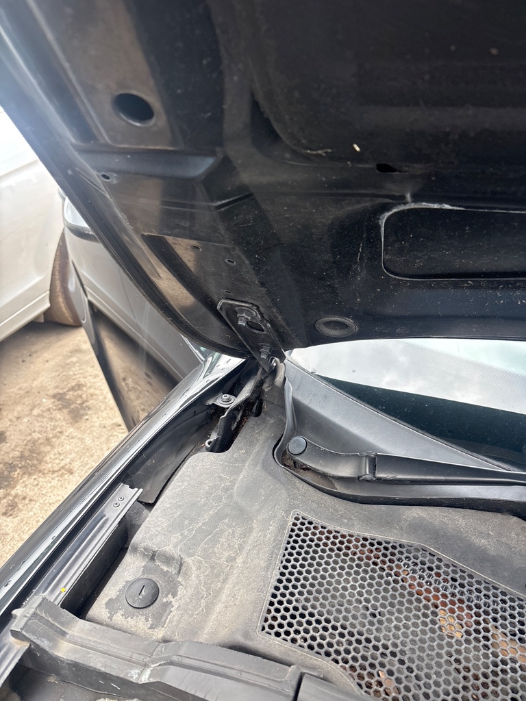 [EPE-127573] Bisagra de capó derecha Audi A5