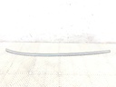 Moldura de techo BMW X6 (F16, F86)