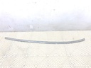 Moldura de techo BMW X6 (F16, F86)