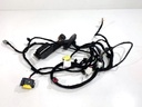 Instalación eléctrica puerta delantera izquierda Hyundai Kona II