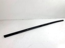 Moldura de puerta trasera derecha BMW X5 (G05, F95)