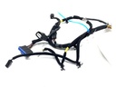 Instalación eléctrica de portón trasero KIA Niro (DE)