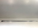 Moldura de puerta delantera izquierda CITROEN C5 III (RD_)