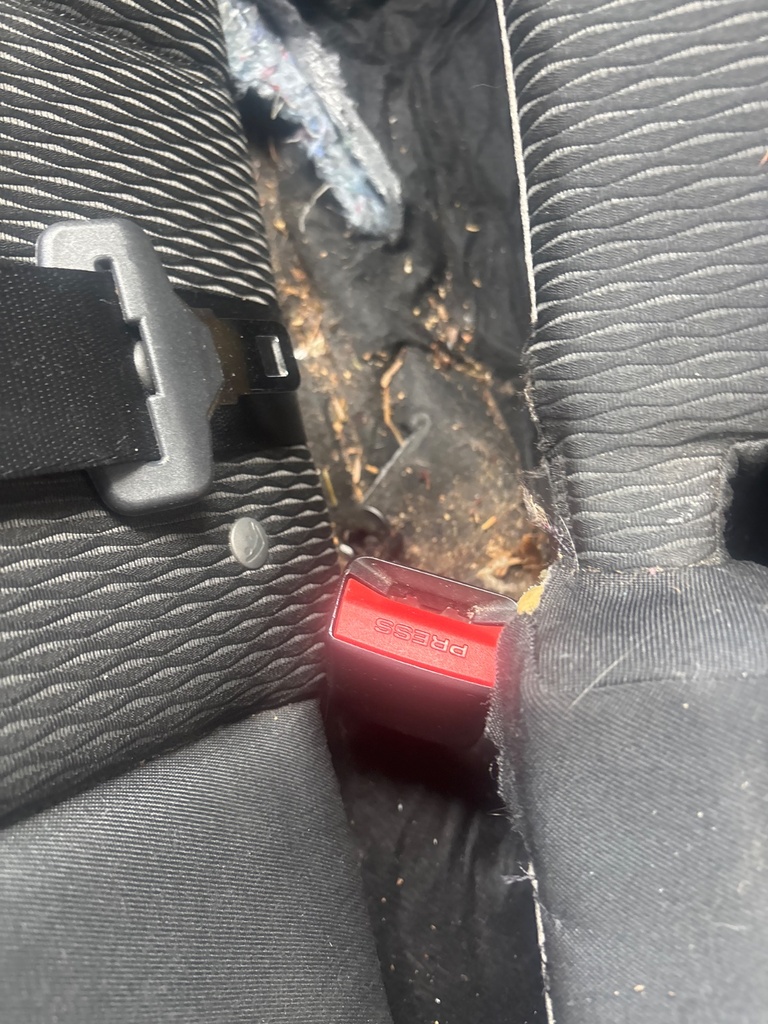 [EPE-127288] Hebilla de cinturón de seguridad trasero central izquierdo BMW Serie 3 E91 2007