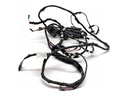 Mazo de cables de puerta trasera derecha BMW 5 Touring (F11)