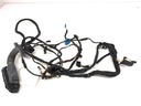 Mazo de cables de puerta trasera derecha BMW 6 Gran Coupe (F06)