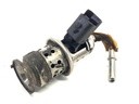 Inyector SCR Citroen Berlingo