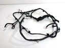 Mazo de cables de portón trasero Hyundai Kona (OS, OSE, OSI)