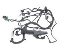 Mazo de cables puerta delantera izquierda Opel Insignia B