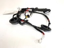 Mazo de cables puerta trasera izquierda Hyundai i30