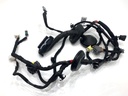 Instalación eléctrica puerta delantera derecha Kia Niro II