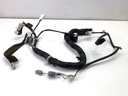 Cableado de puerta delantera izquierda Nissan Juke (F15)