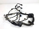Cableado de puerta delantera derecha Renault Arkana I (LCM_)