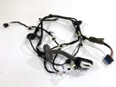 Cableado de puerta trasera derecha Renault Arkana I (LCM_)