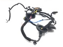 Mazo de cables de puerta delantera derecha Kia Ceed (CD)