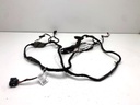 Instalación eléctrica puerta trasera derecha BMW Serie 5 (G31)
