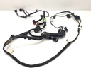 Instalación eléctrica puerta delantera izquierda Ford USA Escape III