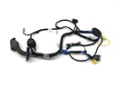 Cableado de puerta delantera izquierda Kia EV6 (CV)