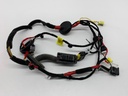 Cableado de puerta delantera derecha Kia EV6 (CV)