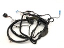 Instalación eléctrica de puerta trasera derecha BMW Serie 5 (G30, F90)