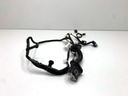 Cableado de puerta trasera izquierda Nissan Qashqai III (J12)