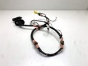 Cableado de puerta trasera izquierda Toyota Camry (V7)