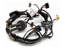 Cableado de puerta delantera izquierda AUDI A6 C7 (4G2, 4GC)