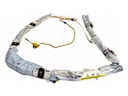 Airbag de cortina derecho Ford Kuga I