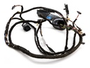 Cableado de puerta trasera izquierda BMW Serie 3 (F30, F80)
