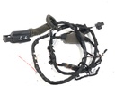 Instalación eléctrica de puerta trasera derecha BMW Serie 5 (G30, F90)