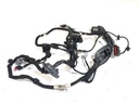 Instalación eléctrica puerta delantera derecha Ford S-Max