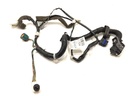 Cableado de puerta delantera izquierda Nissan Juke (F15)