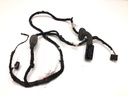 Mazo de cables puerta trasera derecha BMW Serie 3 Touring (G21, G81)