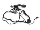 Cableado de puerta delantera izquierda Ford Focus IV (HN)