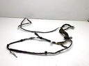Mazo de cables de portón trasero Toyota Land Cruiser Prado (J12)