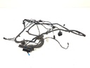 Mazo de cables puerta trasera izquierda BMW X5 E70