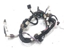 Mazo de cables puerta trasera derecha Toyota Corolla E21