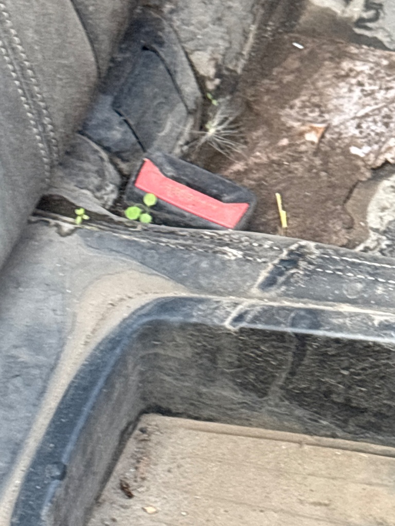 [EPE-114051] Cinturón de seguridad trasero BMW Serie 4 F33