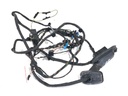 Cableado de puerta delantera derecha BMW Serie 5 Touring (F11)