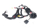Instalación eléctrica de puerta trasera izquierda Hyundai i30 (PDE, PD, PDEN)