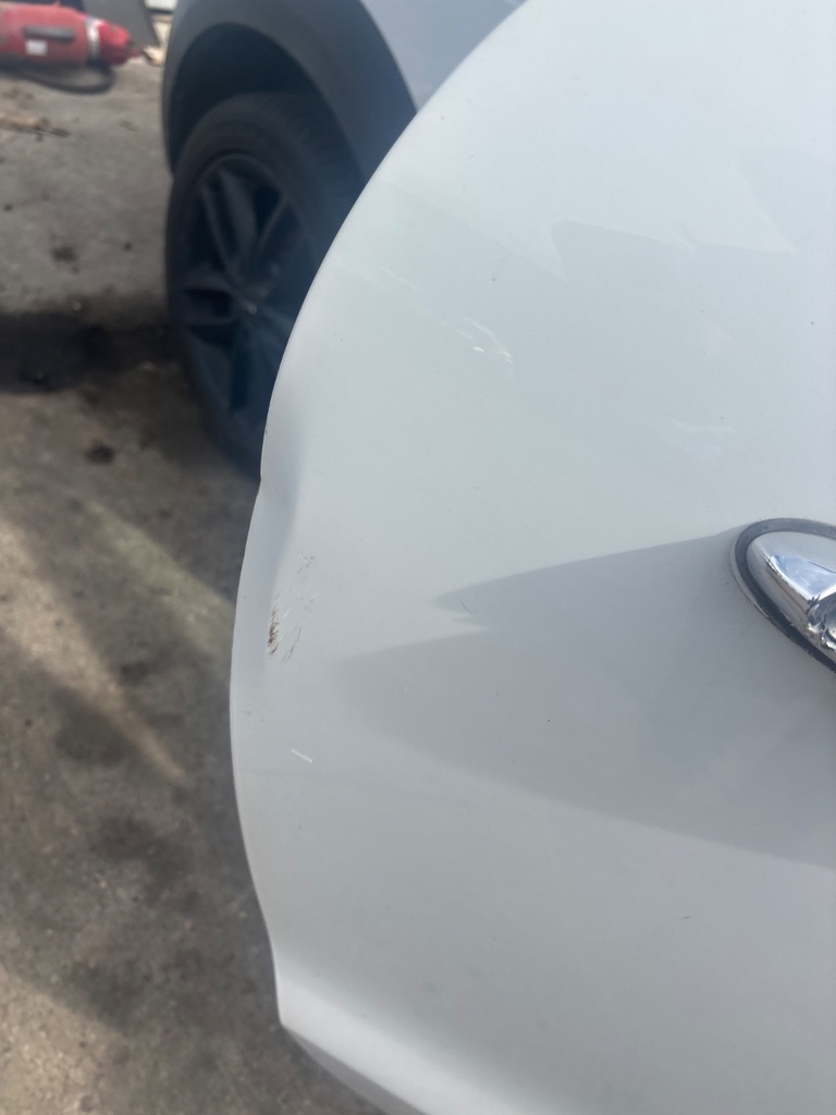 [EPE-128853] Puerta delantera derecha Mini Paceman